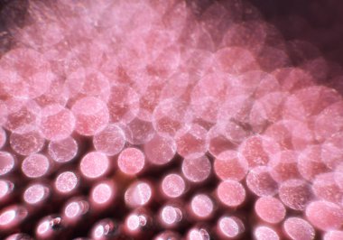 pembe ve mor ışık bokeh.