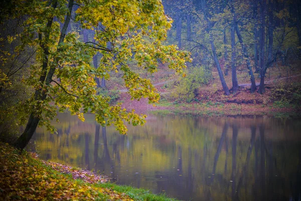 Güzel orman gölde su yansıma ile sonbahar — Stok fotoğraf