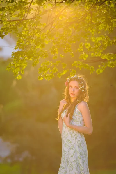 Joven dama elegante en vestido, la puesta de sol . —  Fotos de Stock