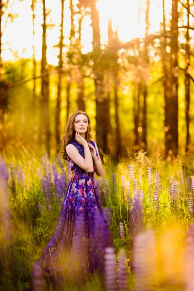 Menina com flores tremoços em um campo ao pôr do sol — Fotografia de Stock