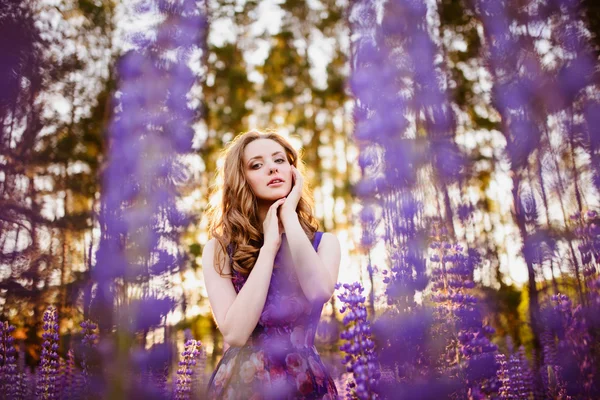 Дівчина в полі фіолетових диких квітів — стокове фото