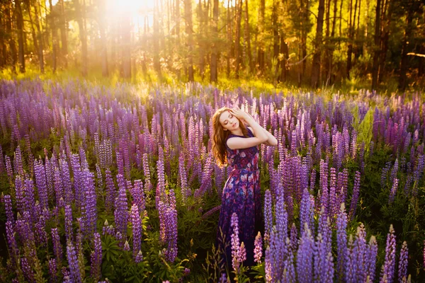 Menina com flores tremoços em um campo ao pôr do sol — Fotografia de Stock