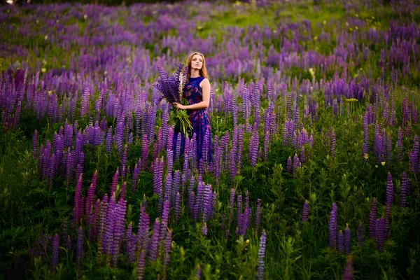 Pige i et felt af lilla vilde blomster - Stock-foto