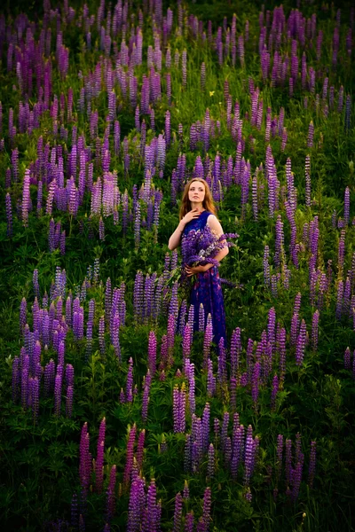 Menina em um campo de flores silvestres roxas — Fotografia de Stock