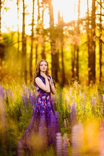 Menina no campo de flores silvestres roxas, pôr do sol no dia ensolarado — Fotografia de Stock