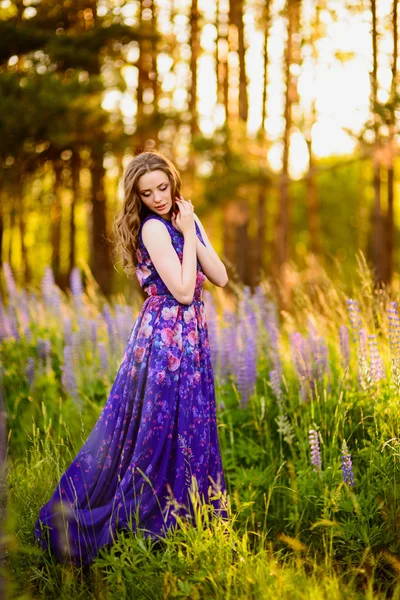 Menina com flores tremoços em um campo ao pôr do sol — Fotografia de Stock