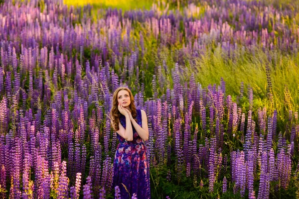 Chica con flores altramuces en un campo al atardecer — Foto de Stock
