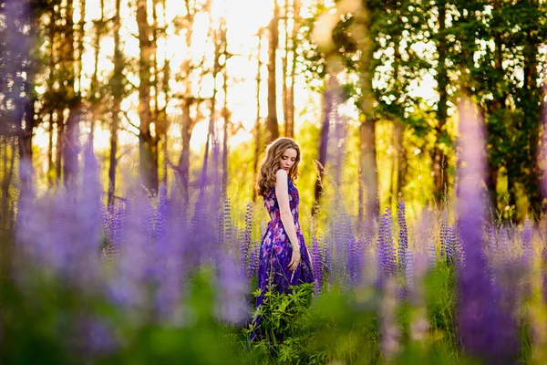 Chica en el campo de flores silvestres púrpura, puesta de sol en el día soleado — Foto de Stock