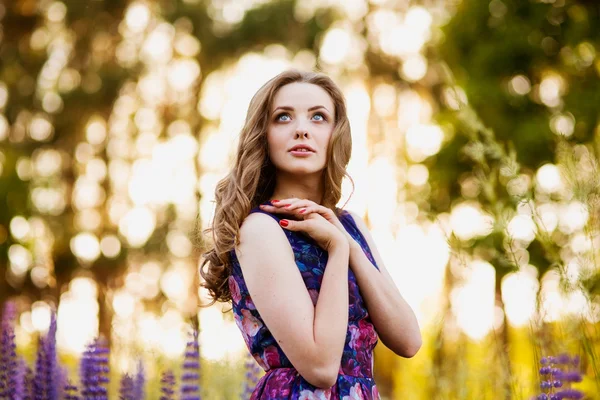 Menina com flores tremoços em um campo ao pôr do sol — Fotografia de Stock