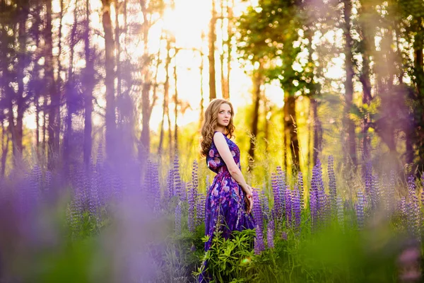 Fille avec des fleurs lupins dans un champ au coucher du soleil — Photo