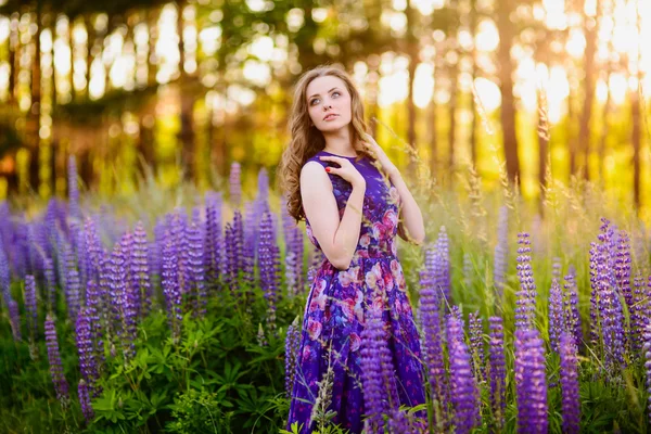 Menina no campo de flores silvestres roxas, pôr do sol no dia ensolarado — Fotografia de Stock