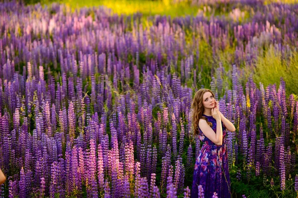 꽃 일몰에 분야에서 lupines 소녀 — 스톡 사진