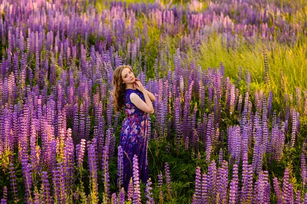 Дівчина з квітами люпин в полі на заході сонця — стокове фото