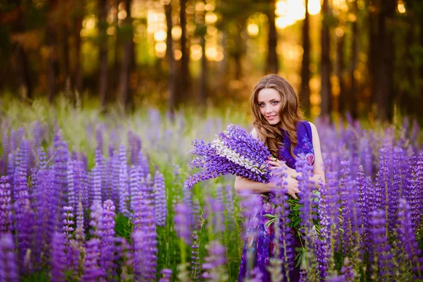 Pige med blomster lupiner på en mark ved solnedgang - Stock-foto