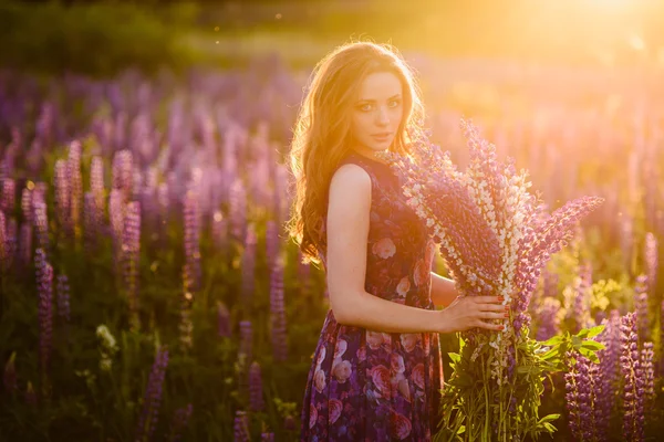 Pige inden for lilla vilde blomster, solnedgang på solrig dag - Stock-foto