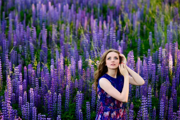 Chica con flores altramuces en un campo al atardecer — Foto de Stock