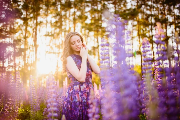 Дівчина в полі фіолетових диких квітів, захід сонця в сонячний день — стокове фото