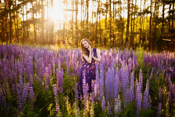 Menina com flores tremoços em um campo ao pôr do sol — Fotografia de Stock