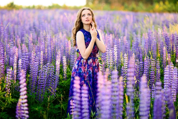 Girl with flowers lupines in a field at sunset — Stock Photo, Image