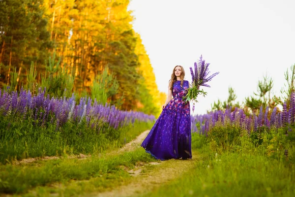 Девушка с цветами люпин в поле на закате — стоковое фото