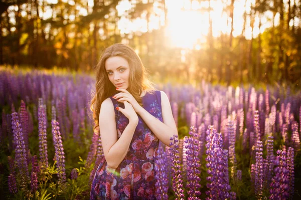 Girl in field of purple wildflowers, sunset on Sunny day — Stock Photo, Image