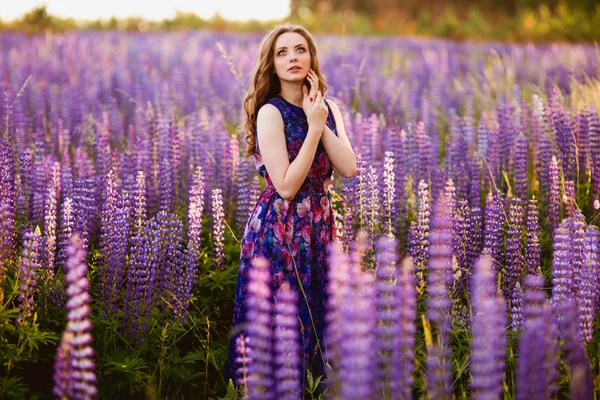 Girl with flowers lupines in a field at sunset — Stock Photo, Image