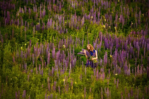 Girl with flowers lupines in a field at sunset — Stock Photo, Image