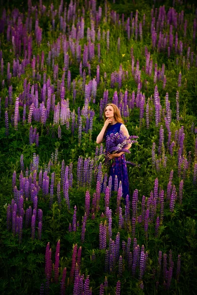 Girl with flowers lupines in a field at sunset — Stock Photo, Image