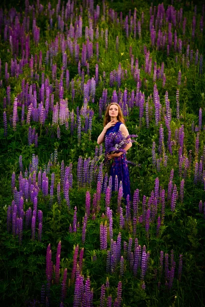 Menina com flores tremoços em um campo ao pôr do sol — Fotografia de Stock