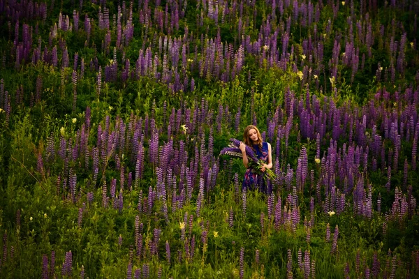 Menina com flores tremoços em um campo ao pôr do sol — Fotografia de Stock