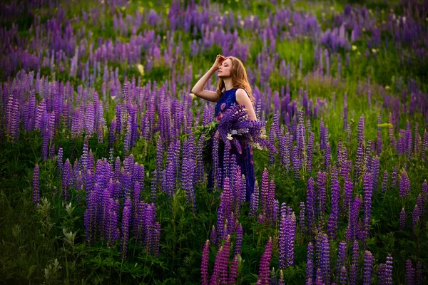 Lány virágok csillagfürtöt mezőben a naplemente — Stock Fotó