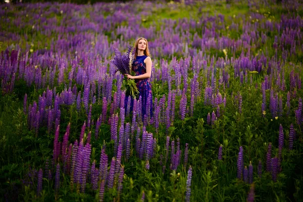 Lány, lila vadvirágok területén — Stock Fotó
