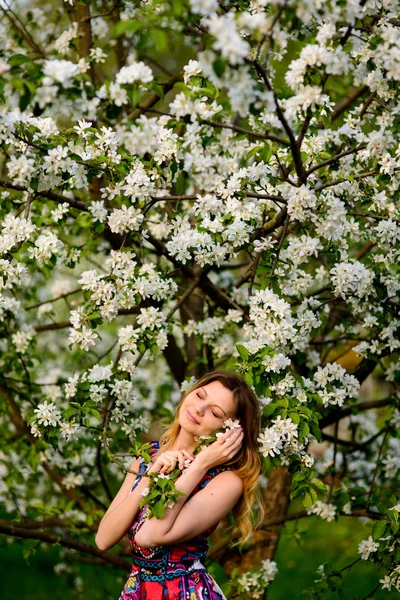 Красива жінка в квітучому саду — стокове фото