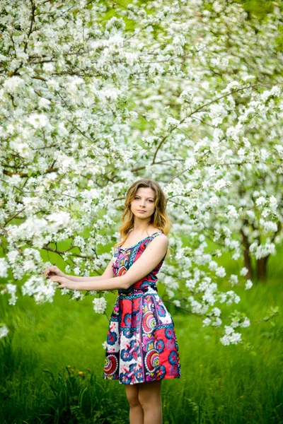 Beautiful woman in blooming garden — Stock Photo, Image