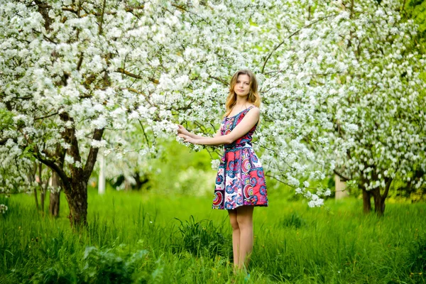 Krásná žena v rozkvetlé zahradě — Stock fotografie