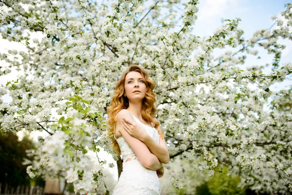 Chica hermosa primavera, rubia, de pie en un huerto de manzanas en flor  . — Foto de Stock