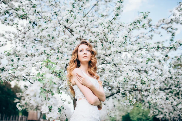 Primavera menina bonita, loira, de pé em um pomar de maçã florescendo  . — Fotografia de Stock