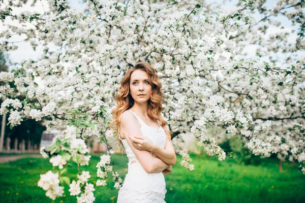 Primavera bella ragazza, bionda, in piedi in un frutteto di mele in fiore  . — Foto Stock