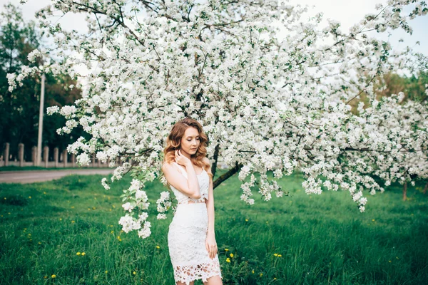 Frühling schöne Mädchen, blond, steht in einem blühenden Apfelgarten . — Stockfoto