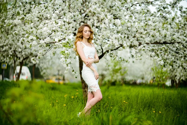 春の美しい少女、金髪、咲くリンゴ園に立っています。 . — ストック写真