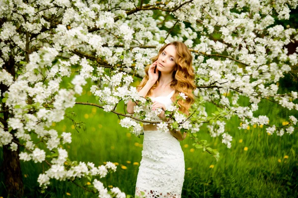 Primavera menina bonita, loira, de pé em um pomar de maçã florescendo  . — Fotografia de Stock