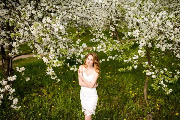 Virágzó kert gyönyörű nő — Stock Fotó