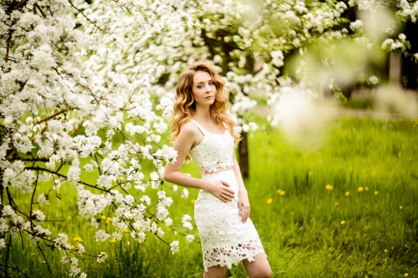 Spring beautiful girl, blonde, standing in a blooming Apple orchard . Stock Photo