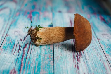 bir ahşap boyalı tahta Boletus mantarı