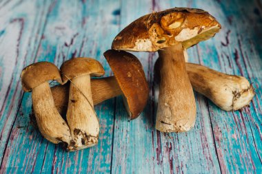 bir ahşap boyalı tahta Boletus mantarı