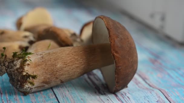 Oogst van paddestoelen op een houten bord — Stockvideo