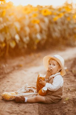 a boy in a field of sunflowers eats wheat bread, bites off a loaf