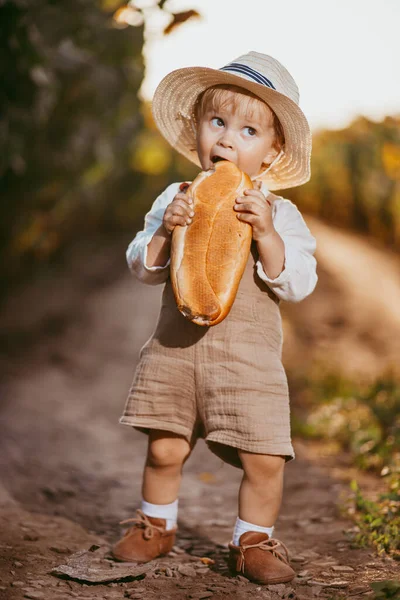 a boy in a field of sunflowers eats wheat bread, the loaf is partially bitten off