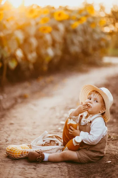 Boy Field Sunflowers Eats Wheat Bread Bites Loaf — Fotografia de Stock