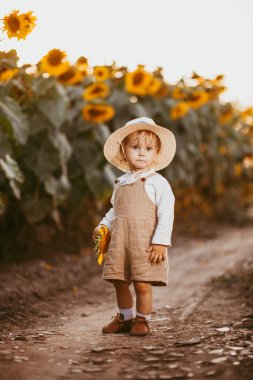 Genç bir çocuk, yazın ayçiçeği tarlasında yürürken elinde bir ayçiçeği tutar..
